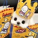 Avatar of Hira Ahmed